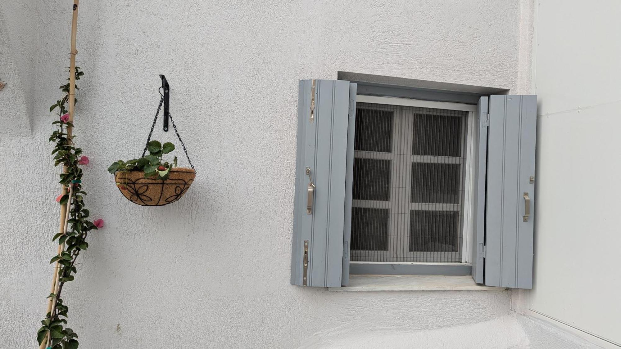 The Botanist Guesthouse Skopelos Eksteriør billede