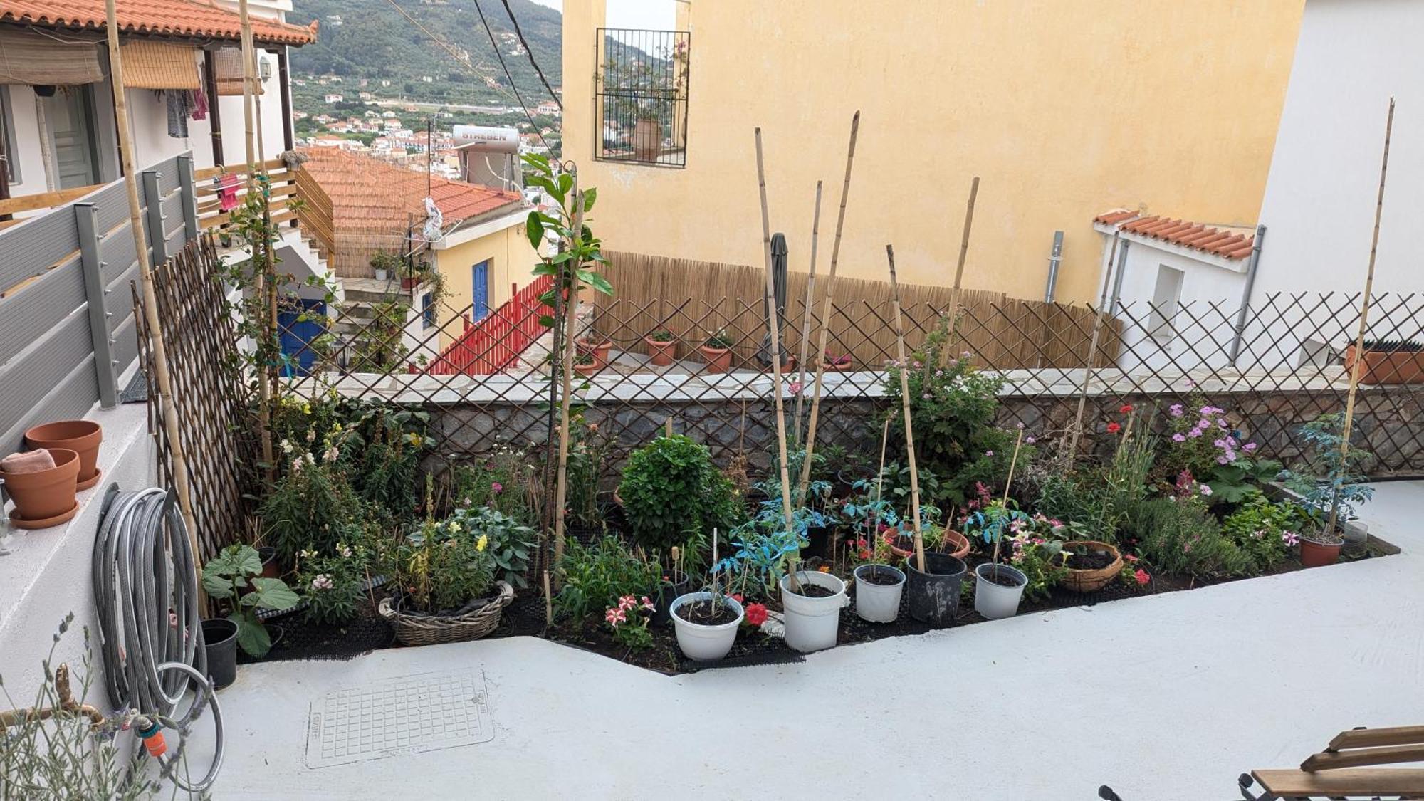 The Botanist Guesthouse Skopelos Eksteriør billede